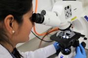 Mendoza lanza el programa WISE para potenciar empresas de base tecnológica