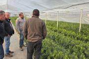 Empresa española explora oportunidades de inversión agroindustrial en Mendoza