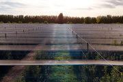 Mallas fotoselectivas: una empresa mendocina exporta una tecnología que transforma la producción agrícola