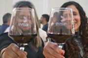 Nuevo mapa del vino sanjuanino: 6 valles, más de 30 bodegas top y una identidad en expansión