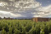Dormir entre viñedos y despertar frente a Los Andes: así es el hotel de vino elegido como el mejor de la Argentina