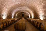 Enoturismo del futuro: Godoy Cruz tendrá el primer museo sensorial e inmersivo del vino en Argentina