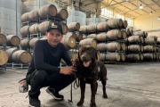 Olfato de precisión: perros entrenados para detectar contaminantes recorren bodegas líderes de Mendoza