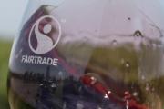 Comercio Justo: Mendoza será sede del V Encuentro Anual de Productores de Vino Fairtrade