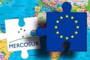 Acuerdo UE–Mercosur: por qué regiones organizadas como Mendoza corren con ventaja
