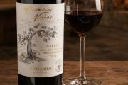 Lanzamientos: el nuevo vino de Lagarde que rinde tributo a sus históricos viñedos de Luján