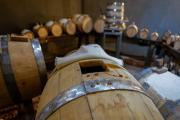 Reconversión inteligente: en Mendoza la uva criolla se transforma en aceto balsámico