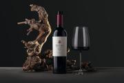Un Malbec de Gualtallary fue elegido entre los 50 mejores vinos del mundo