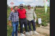 Semillas de tomate: el proveedor mendocino que abastece a Heinz y a los gigantes de la industria