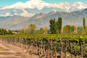 Invest In LAC 2026: Mendoza será sede del foro más exclusivo de inversión en América Latina