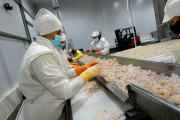 Exportaciones: Cabo Vírgenes compró Sea Fresh y reconfigura el mapa de la pesca argentina