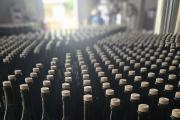 Vermut: por qué Mendoza se convirtió en uno de los principales productors del país