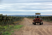 La empresa que ayuda a hacer e invertir en vinos incorpora producción propia en Italia