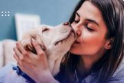 Nuevo beneficio: ahora los socios de OSDE cuentan con cobertura veterinaria para sus mascotas