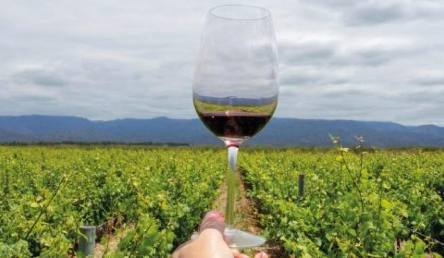 Verano 2026: Mendoza en el top 5 de los destinos "low cost" nacionales para vacacionar